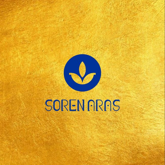 طراحی لوگو و لوگوتایپ سورن ارس 1