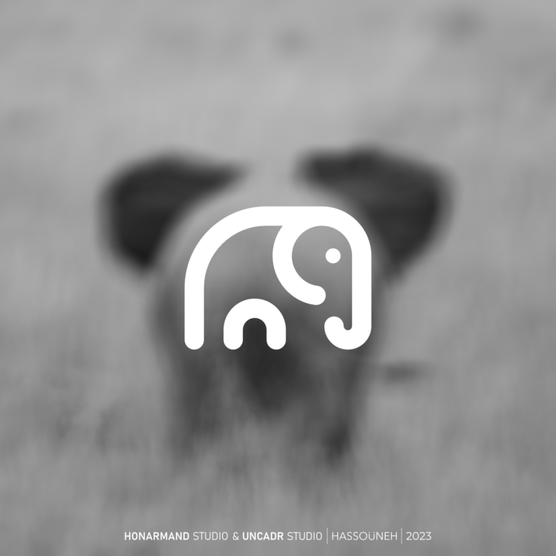 لباس کودک حسونه 2